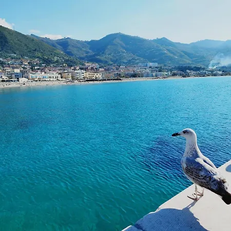 U Curtigghiu Apartamento