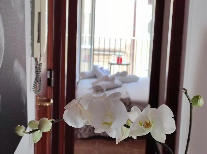 U Curtigghiu דירה צ'פאלו